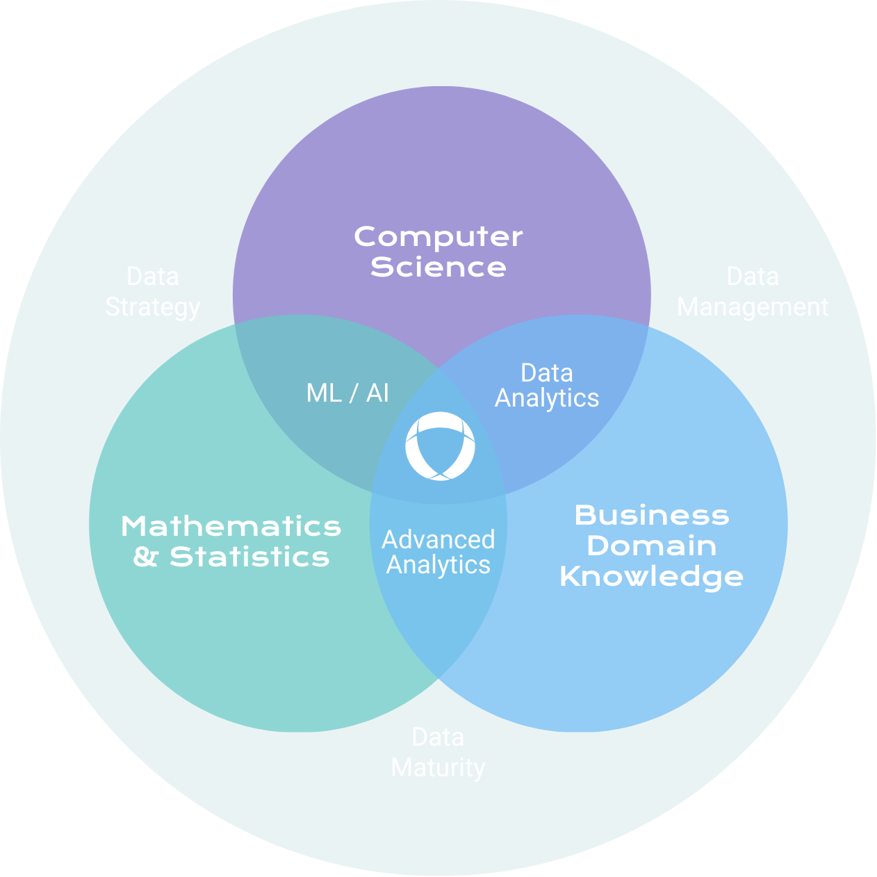 Möbius data consulting