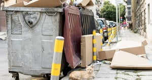 How BEWAPP Developed a Strategic Dashboard for Better Insights